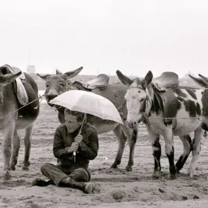 Raining Donkey Rides Print August 1977