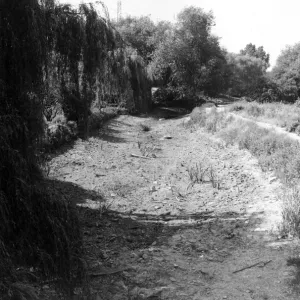 Death of a River Print: The Darent at Farningham, Kent 1976 Death of a River Print: The Darent at Farningham, Kent 1976