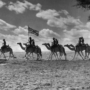 Camel Corps of the Kings African Rifles Print, October 1945 Camel Corps of the Kings African Rifles Print, October 1945