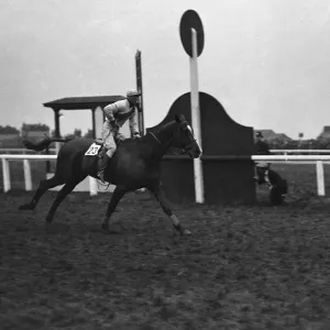 El Maestro Robert montado por Bob Trudgill y entrenado por Aubrey Hastings.