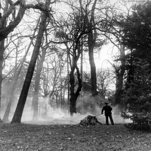 Guardia del parco, raccoglie foglie a Stewart Park, Marton, Middlesbrough, Inghilterra. Guardia del parco, raccoglie foglie a Stewart Park, Marton, Middlesbrough, Inghilterra.