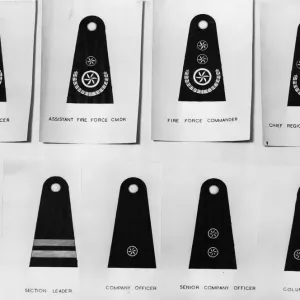National Fire Service Rank Badges Print (1941) National Fire Service Rank Badges Print (1941)