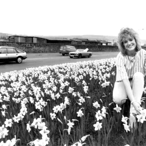 Miss Evening Chronicle Jacqui Failes among the daffodils on Scotswood Road