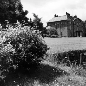 June Gallery: 14 Jun 1981