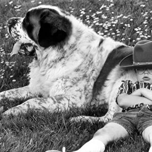 Oscar the St. Bernard and 6 year old David Barking. 22nd June 1979