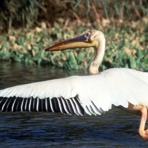 Senegal Photographic Print Collection: Lakes