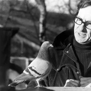 Pidge the pigeon with his owner Jack Dyson at their home in Worrall