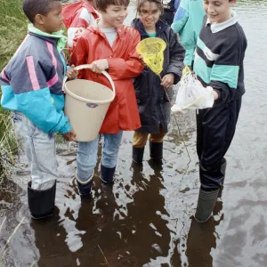 Pond dipping... pupils of Sheepridges Ashbrow Junior School (from left