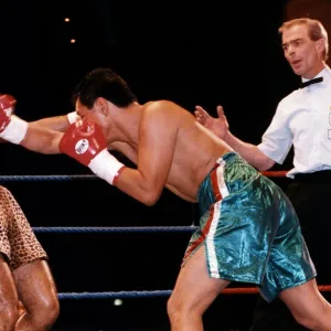 Prince Naseem Hamed boxer in action against Armando Castro of Mexico. January 1995