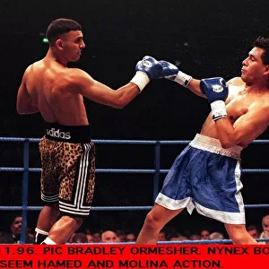Prince Naseem Hamed Boxer punches Remigio Molina Boxer during their WBO Featherweight
