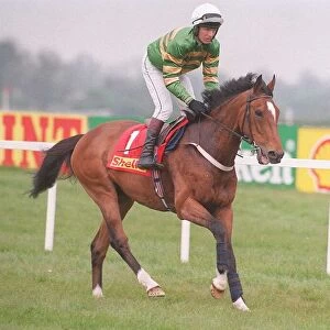 Racehorse Istabraq and jockey Charlie Swan at Punchestown