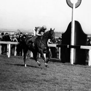 Red Alligator and Brian Fletcher win Grand National. 1968