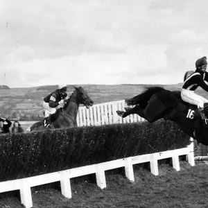 Silver Buck jumps the last on his way to victory in the Cheltenham Gold Cup 27th November