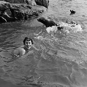 Swim Pals. Dive in, said the sea lions. Thanks, I will, said Carol Fisher, age 17
