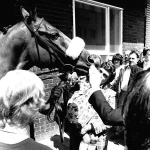 Three times Grand National winner Red Rum arrives for opening the Rum Runner nightclub in