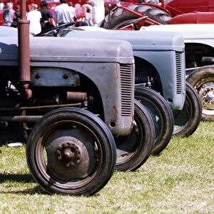 Tractors line up at the Vintage Car and Steam Engine Show at Corbridge on 12th June 1994