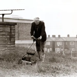 Unusual - Rooftop Garden - Harold Cooper of Gilesgate Moor