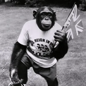 Watch out fans, World Cup Louis is kitted up and ready for action