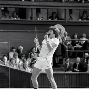June Gallery: 30 Jun 1981