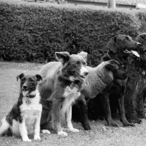 July Gallery: 7 Jul 1981