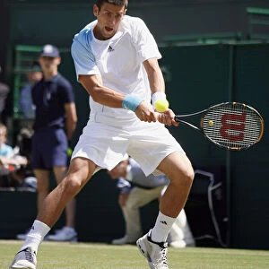 Sports Stars Collection: Novak Djokovic