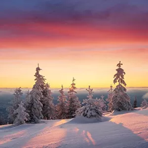 Fantastic orange winter landscape in snowy mountains glowing by sunlight. Dramatic wintry scene with snowy trees. Christmas holiday concept