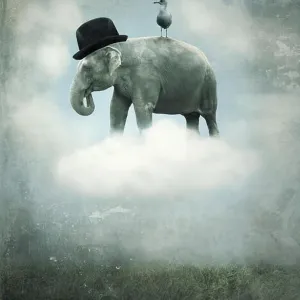 Abstract art Collection: Surrealistic abstract paintings