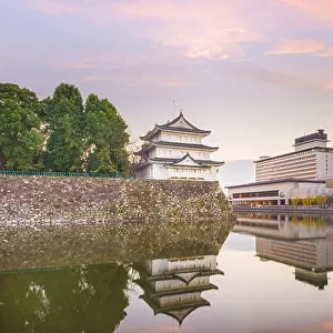 Nagoya, Japan castle moat at twilight