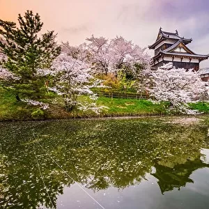 Nara, Japan at Koriyama Castle in the spring season