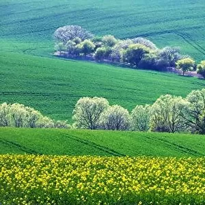 Rural landscape with agricultural fields and trees on spring hills. South Moravia region, Czech Republic