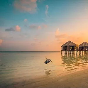 Sunset on Maldives island, luxury water villas resort and wooden pier. Beautiful sky clouds and beach background for summer vacation holiday travel