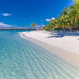 Tropical beach, Maldives. tranquil paradise island. Palm trees, white sand and blue sea, perfect summer vacation landscape or holiday tourism banner