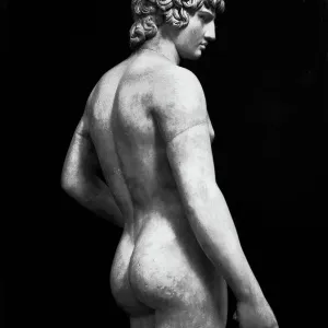 Antinous Farnese, detail, carved marble, Roman art of the second century. AC, The National Archaeological Museum, Naples