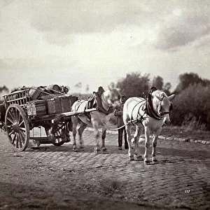 Couple of draft horses pulling a heavy wagon loaded with barrels and boxes