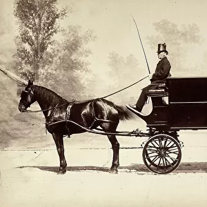 Hearse pull by horse and led by a coachman