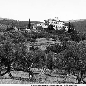 View of the town of Pischiello, environs of Lake Trasimeno. Below are some olive trees, while on the hills, a beautiful palazzo is visible. On the facade, the central body and lower sides are visible
