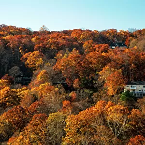 NY, Westchester, Croton on Hudson, autumn