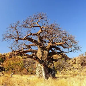 Heritage Sites Collection: Mapungubwe Cultural Landscape