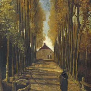 Vincent van Gogh's Avenue of Poplars in Autumn Print (1884) Vincent van Gogh's Avenue of Poplars in Autumn Print (1884)