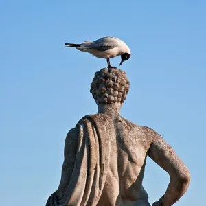 deserted, no one, No People, nobody, uninhabited, empty, blue, Blue, daytime, day, daylight, statue, statues, sculpting, artwork, artworks, art work, art works, work of art, works of art, humor, joke, humour, Laridae, Seagull, Gull, Seagulls