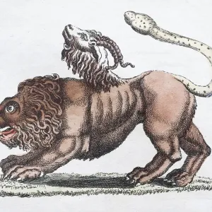 Chimera, Hand-Coloured Copperplate Engraving Print, 1801