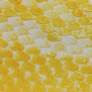 Albino Burmese Python Print Albino Burmese Python Print