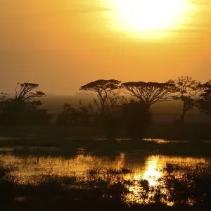 Sunset over Lagoa dos Patos Print, Rio Grande do Sul, Brazil Sunset over Lagoa dos Patos Print, Rio Grande do Sul, Brazil