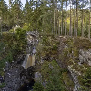 Waterfalls in a forest reserve Print, Pitagowan, Scotland Waterfalls in a forest reserve Print, Pitagowan, Scotland