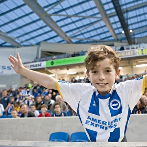 Brighton & Hove Albion FC: Electric Atmosphere at the Amex Stadium - 2013-14 Season (Nottingham Forest Game)