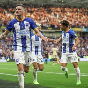Soccer Collection: Brighton And Hove Albion