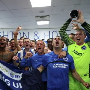 Brighton And Hove Albion FC: Past Seasons