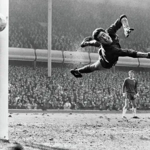 Legends Fine Art Print Collection: Peter Bonetti