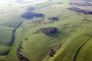 South-West England - Aerial Views: Fyfield Down Print: Aerial View of Prehistoric Settlement Remains