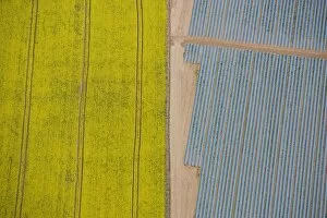 Images Dated 18th April 2007: Agriculture in yellow and blue 24597_049